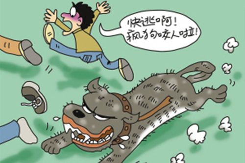 網(wǎng)站收錄在網(wǎng)站優(yōu)化中起到什么作用？