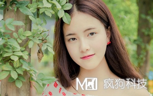 2017年網(wǎng)站推廣的20個(gè)方法策略？