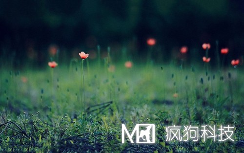 如何提高網(wǎng)站粘度，增加網(wǎng)站回頭客？