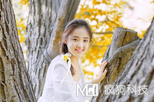 網(wǎng)站優(yōu)化中的死鏈是如何產(chǎn)生的？