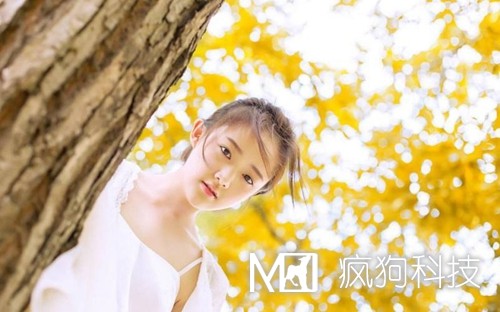 收藏：快速頁(yè)面收錄的六大絕技！